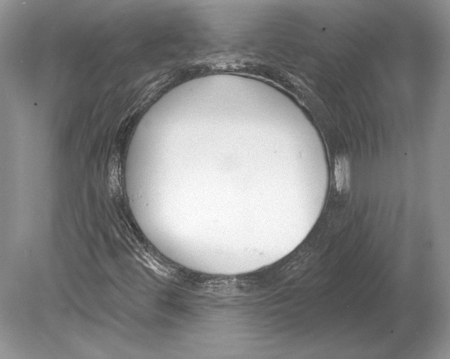 X0000078891444200612111753