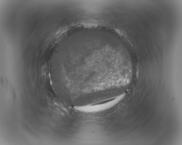 X0000078891445200612111753