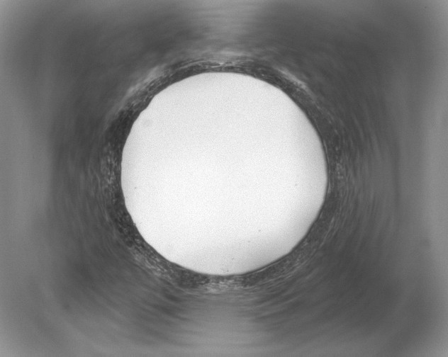 X0000078891447200612111753