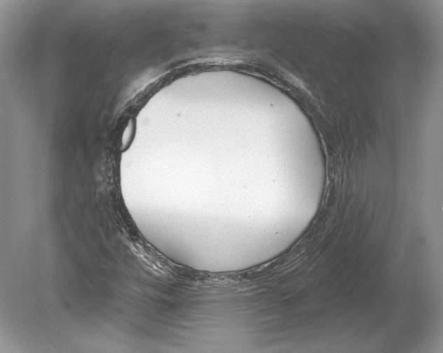 X0000078891448200612111753