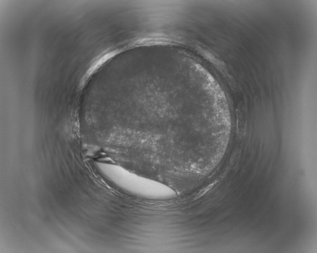 X0000078891453200612111753