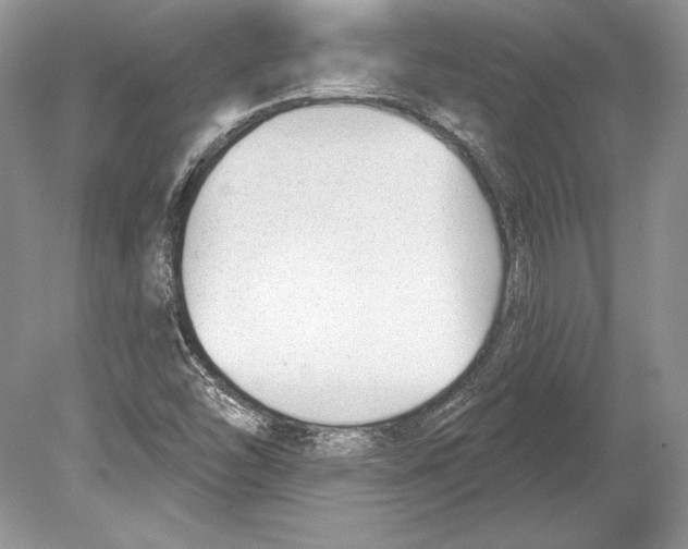 X0000078891454200612111753