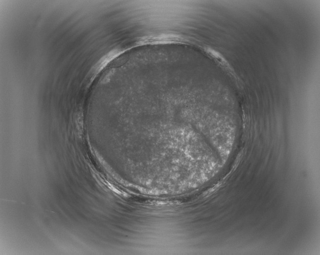 X0000078891457200612111753