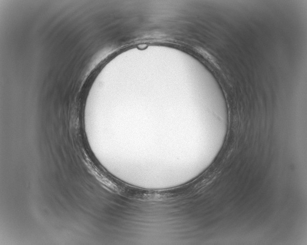 X0000078891458200612111753