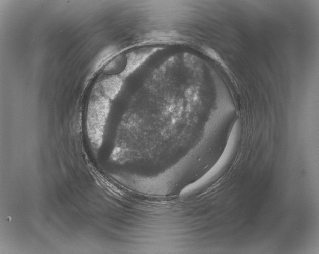 X0000078891459200612111753