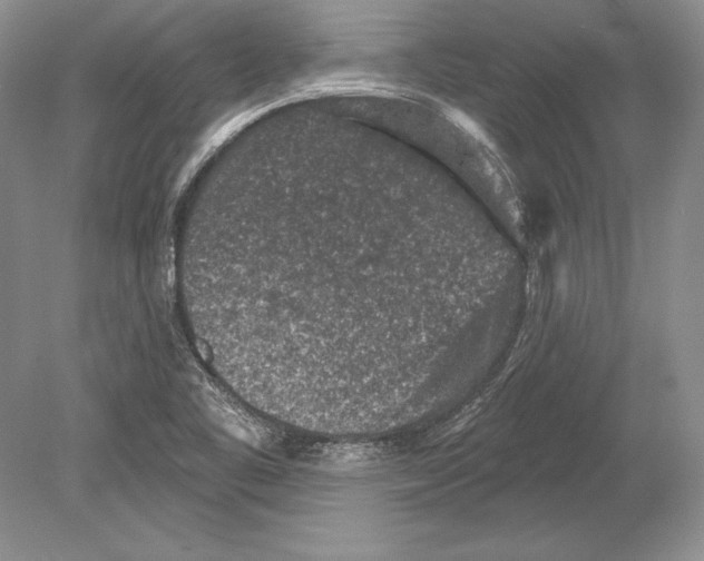 X0000078891461200612111753