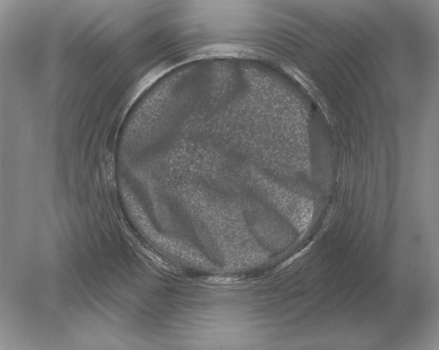 X0000078891465200612111753