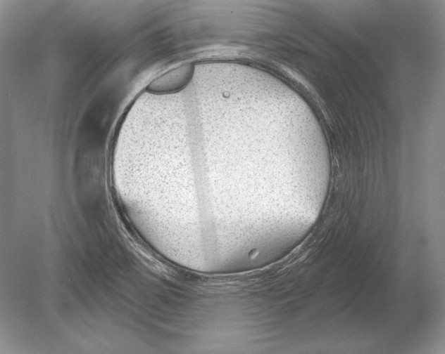 X0000078891467200612111752