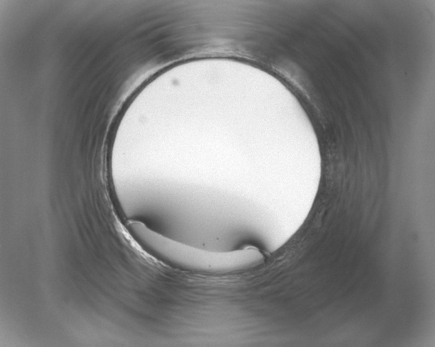 X0000078891468200612111752