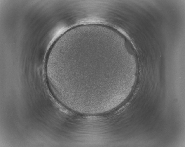 X0000078891469200612111752