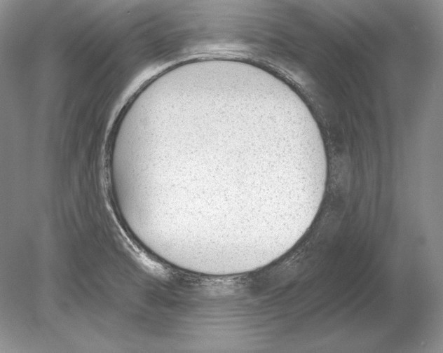 X0000078891470200612111752