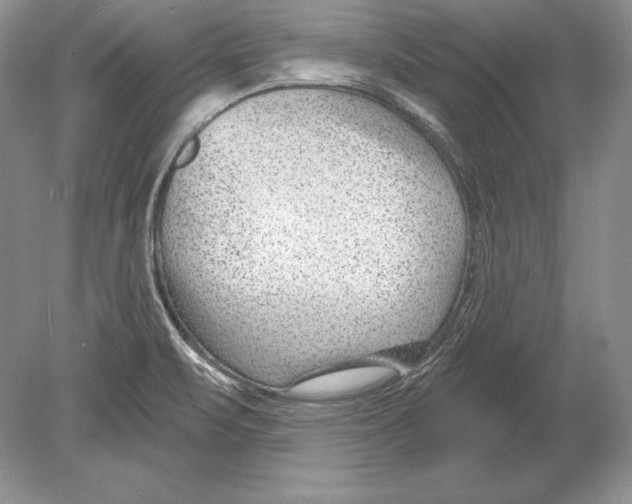 X0000078891471200612111752