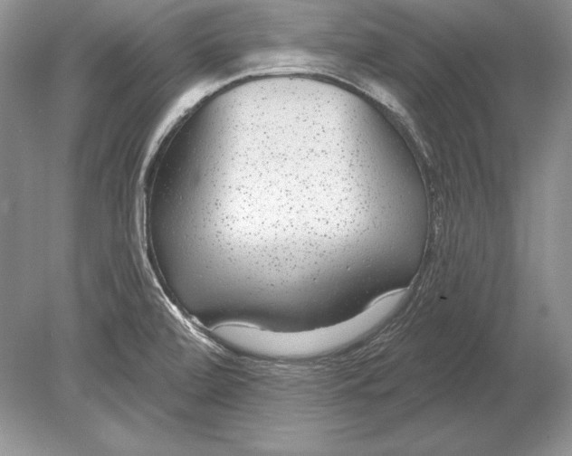 X0000078891472200612111752