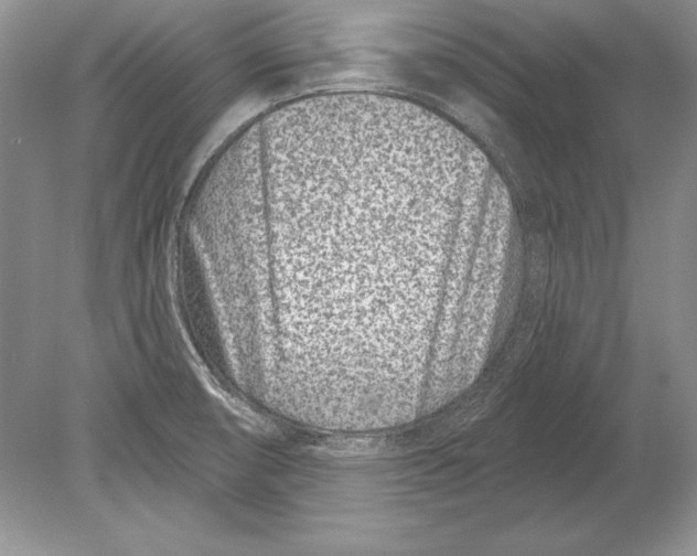 X0000078891474200612111752