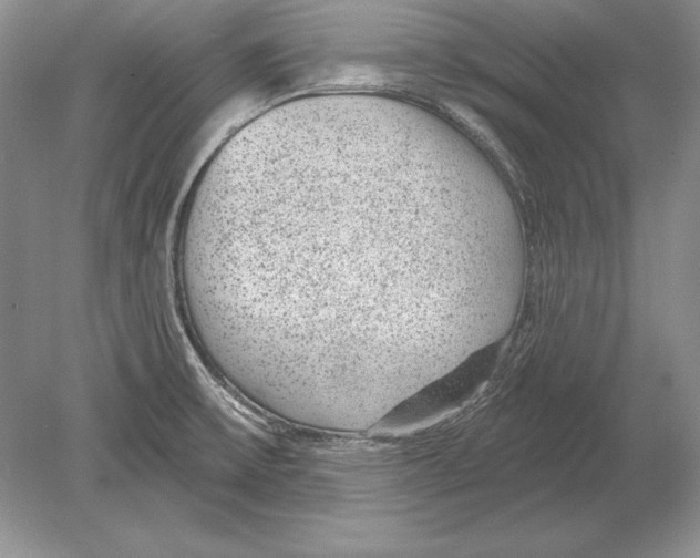 X0000078891475200612111752