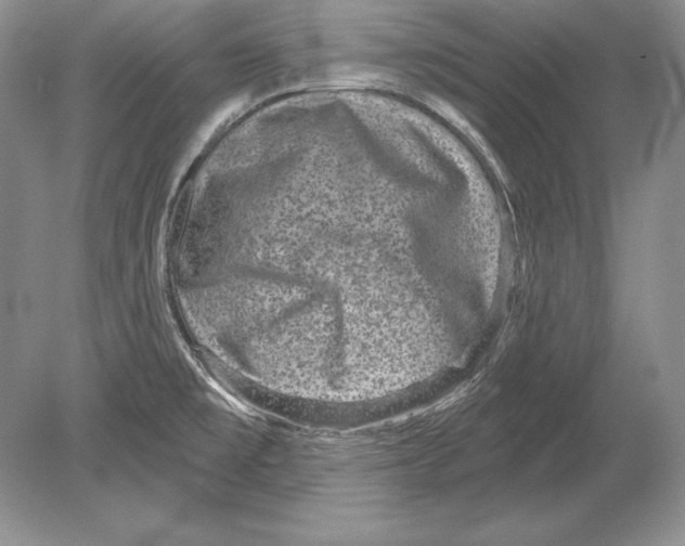 X0000078891477200612111752