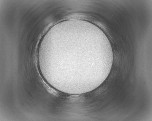 X0000078891478200612111752