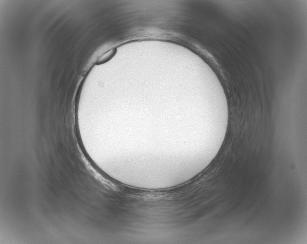 X0000078891479200612111752