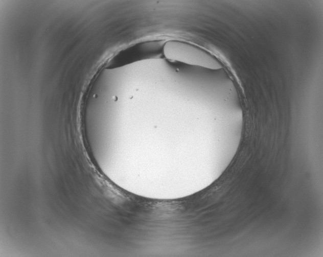 X0000078891480200612111752