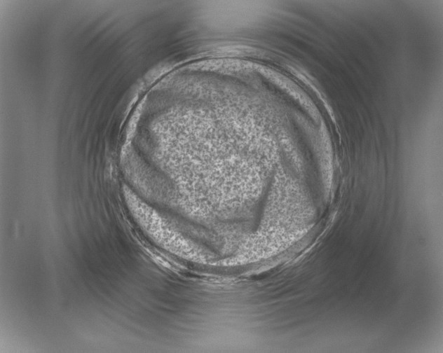 X0000078891481200612111752