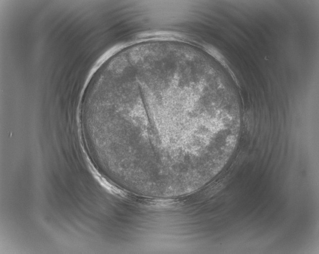 X0000078891482200612111752