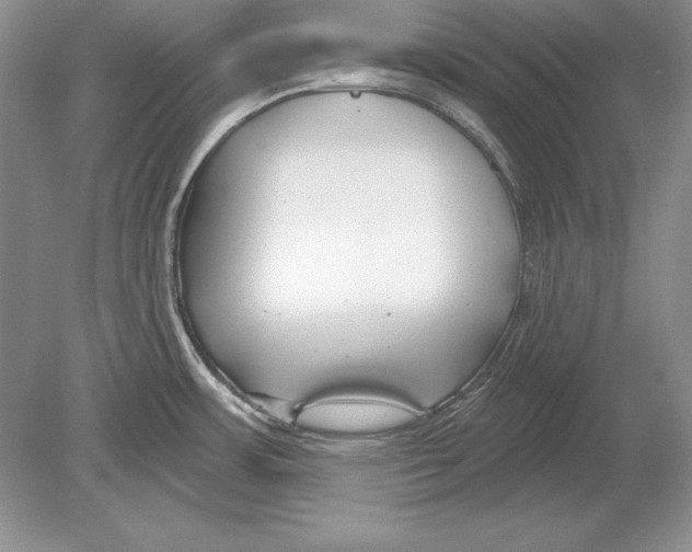 X0000078891483200612111752