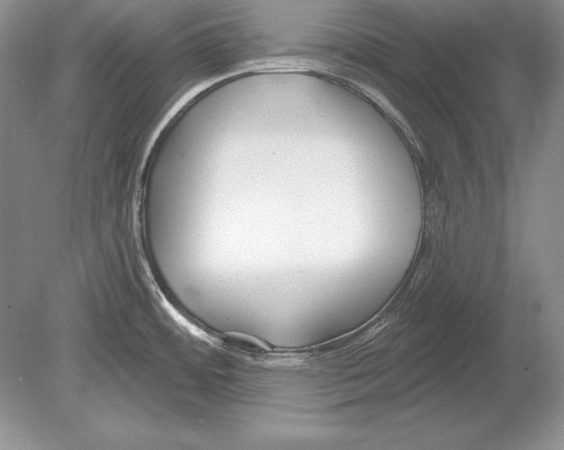 X0000078891484200612111752