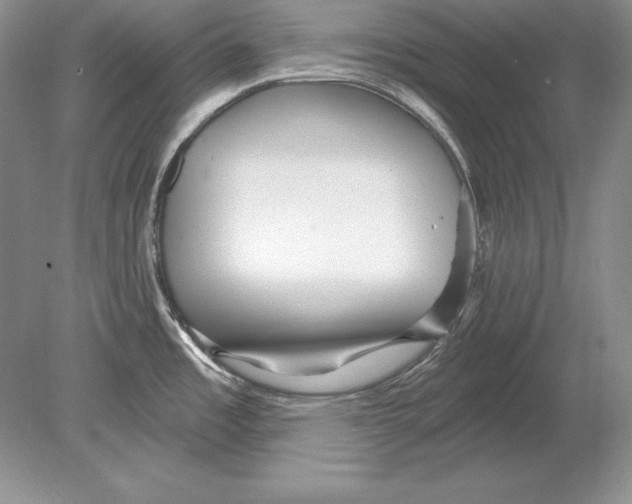 X0000078891485200612111752