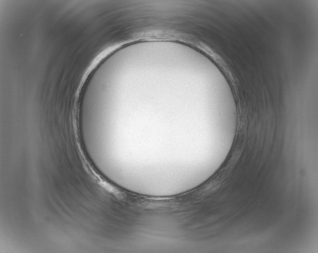 X0000078891486200612111752