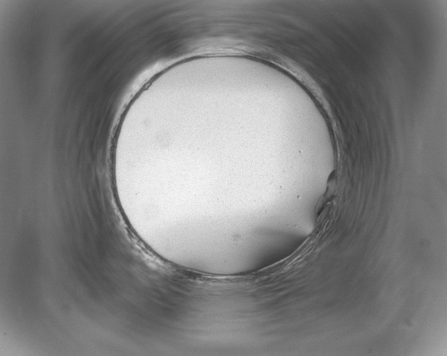 X0000078891488200612111752