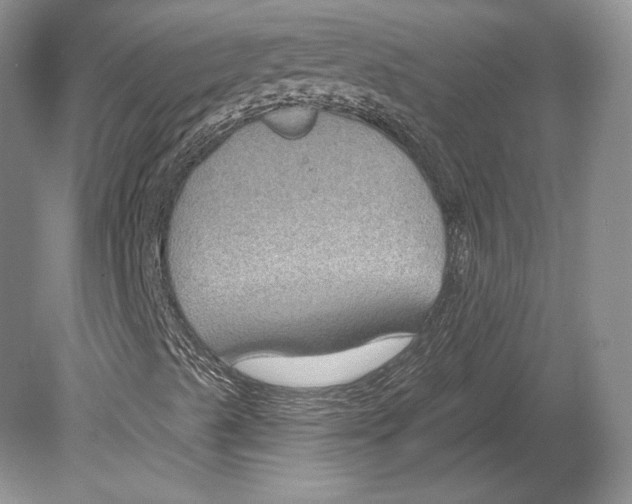 X0000078891489200612111751