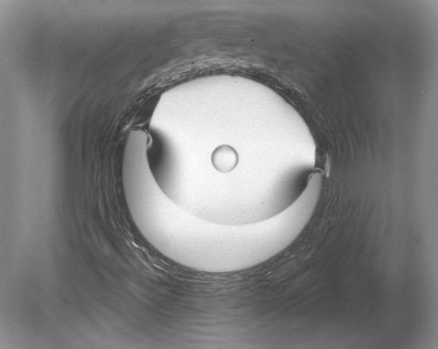 X0000078891492200612111751