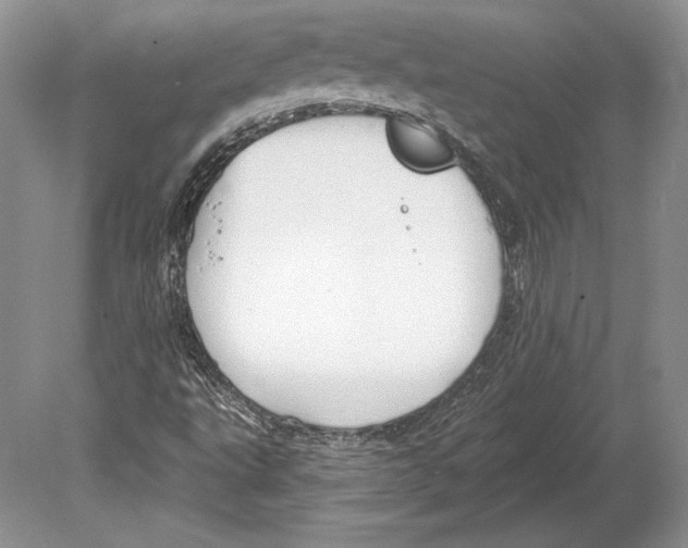 X0000078891495200612111751