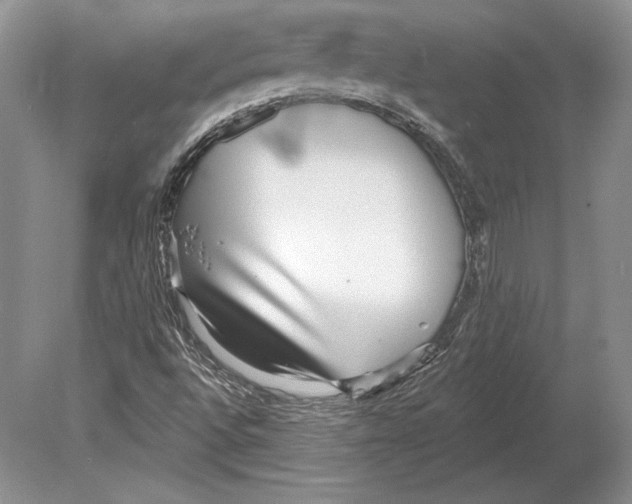 X0000078891496200612111751