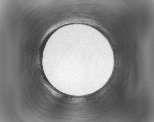 X0000078891498200612111751