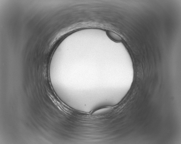 X0000078891499200612111751