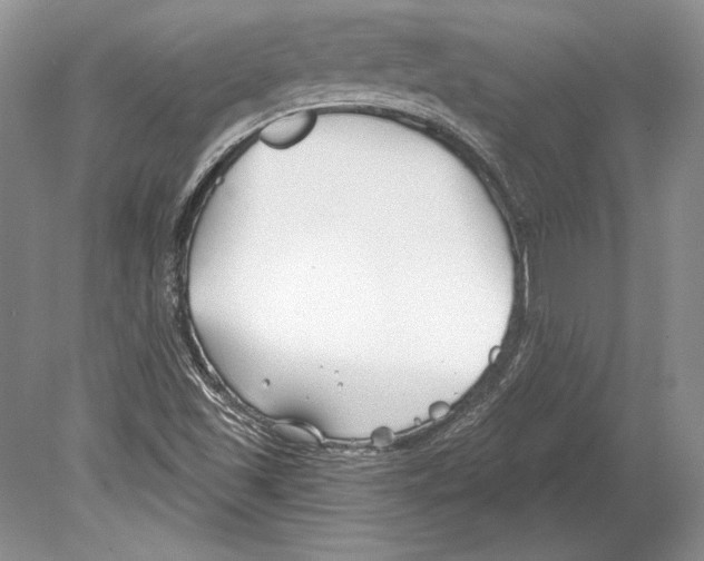 X0000078891501200612111752