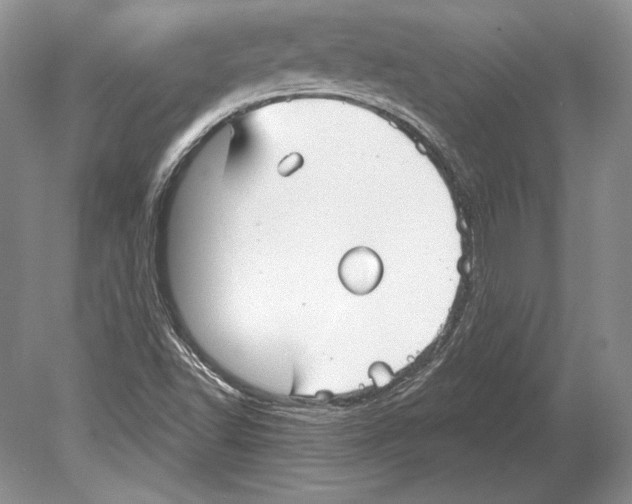 X0000078891502200612111752