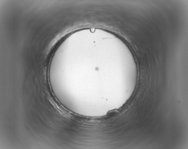 X0000078891503200612111752