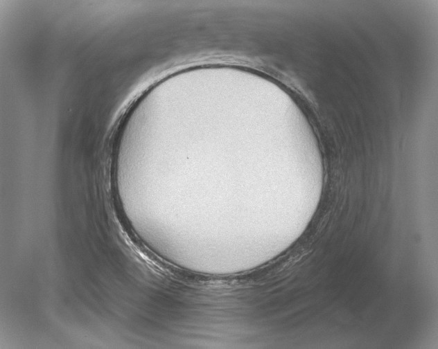 X0000078891504200612111752