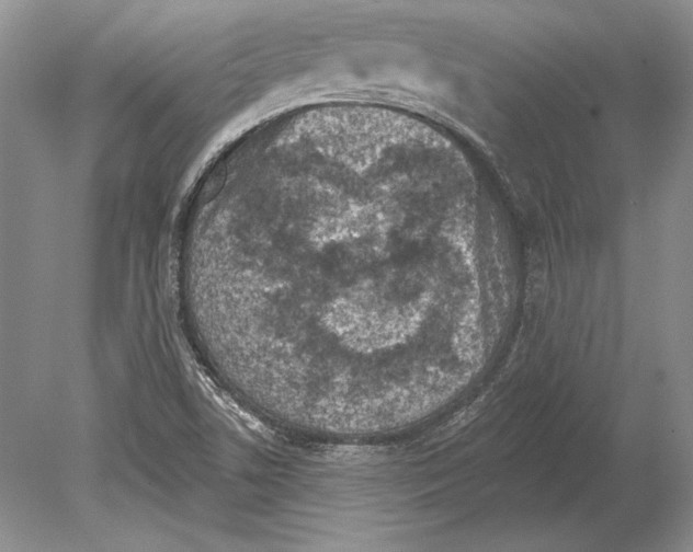 X0000078891506200612111752