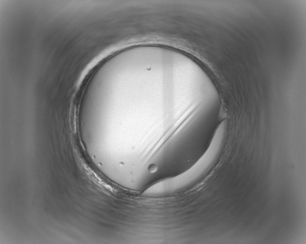 X0000078891510200612111752