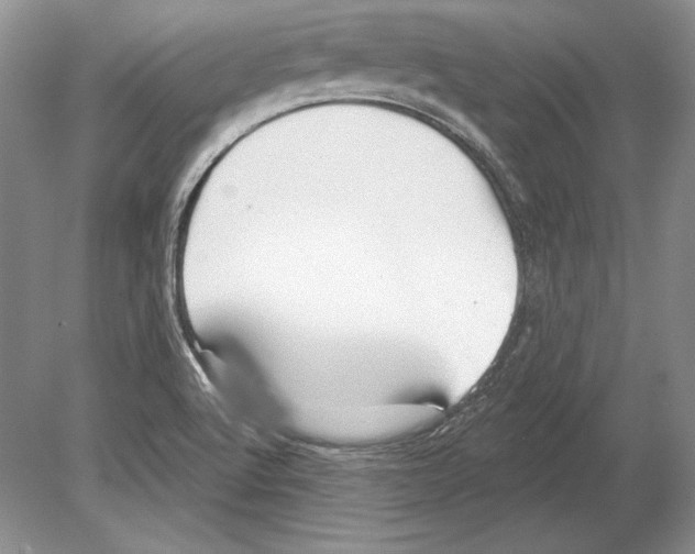 X0000078891512200612111752