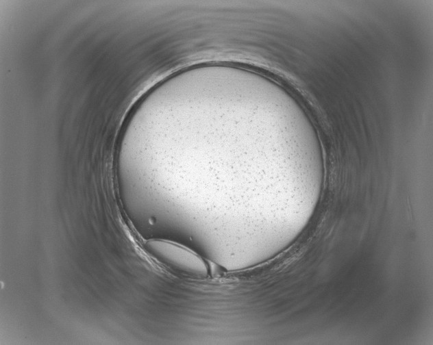 X0000078891513200612111752