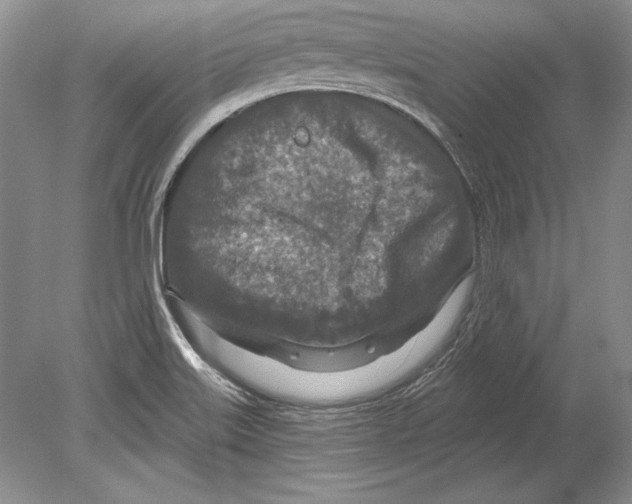 X0000078891515200612111752