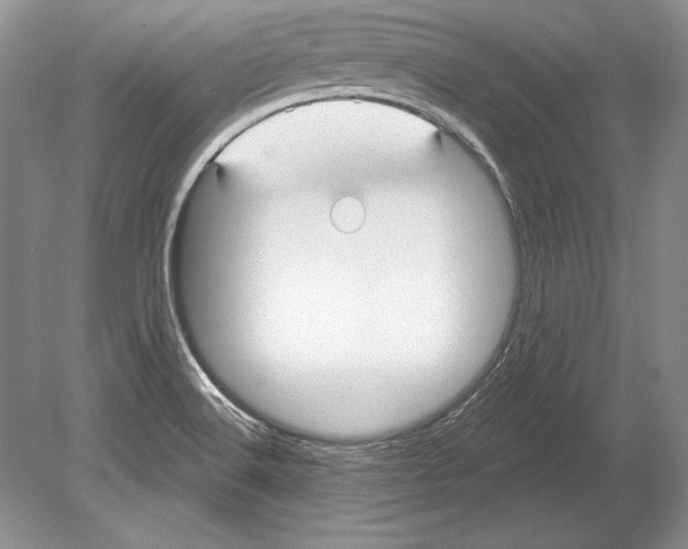 X0000078891516200612111752