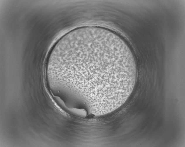 X0000078891517200612111752