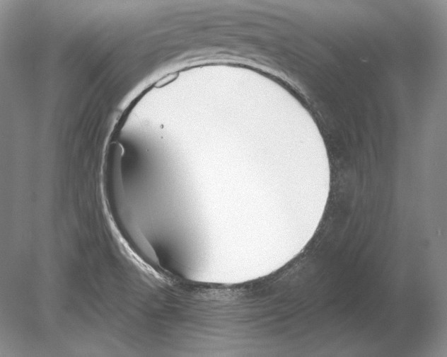 X0000078891518200612111752