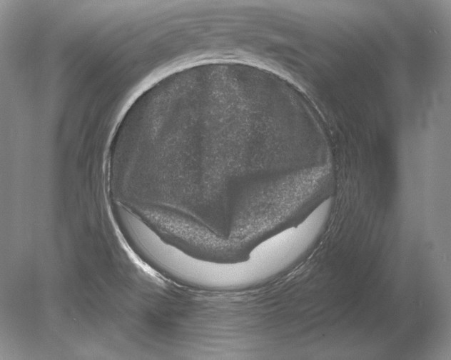 X0000078891519200612111752