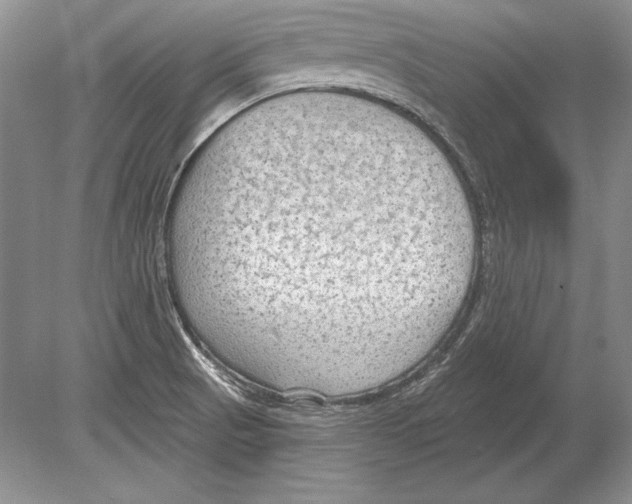 X0000078891521200612111752